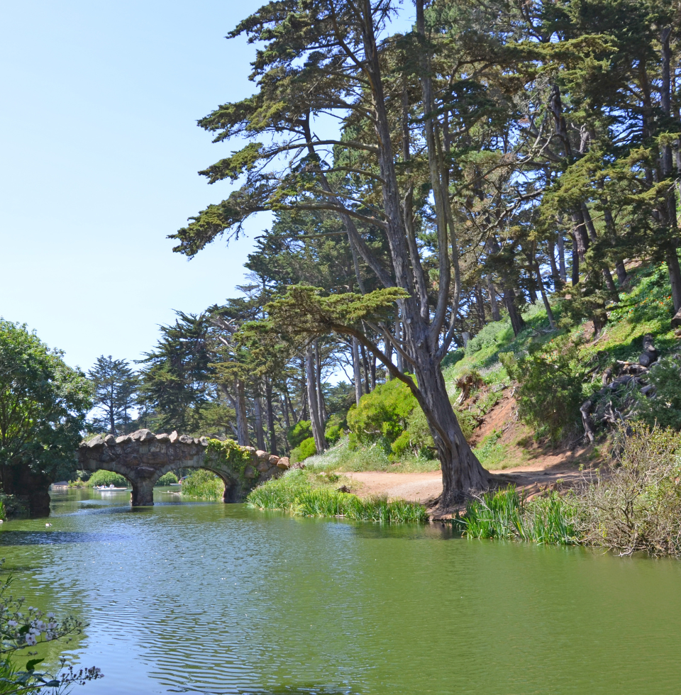 Golden Gate Park, stone bridge, San Francisco